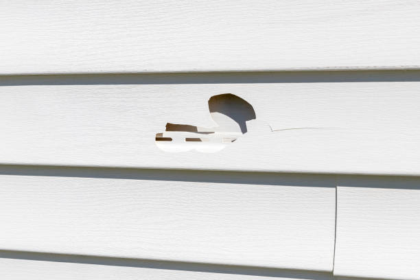 Siding Removal and Disposal in St Augusta, MN